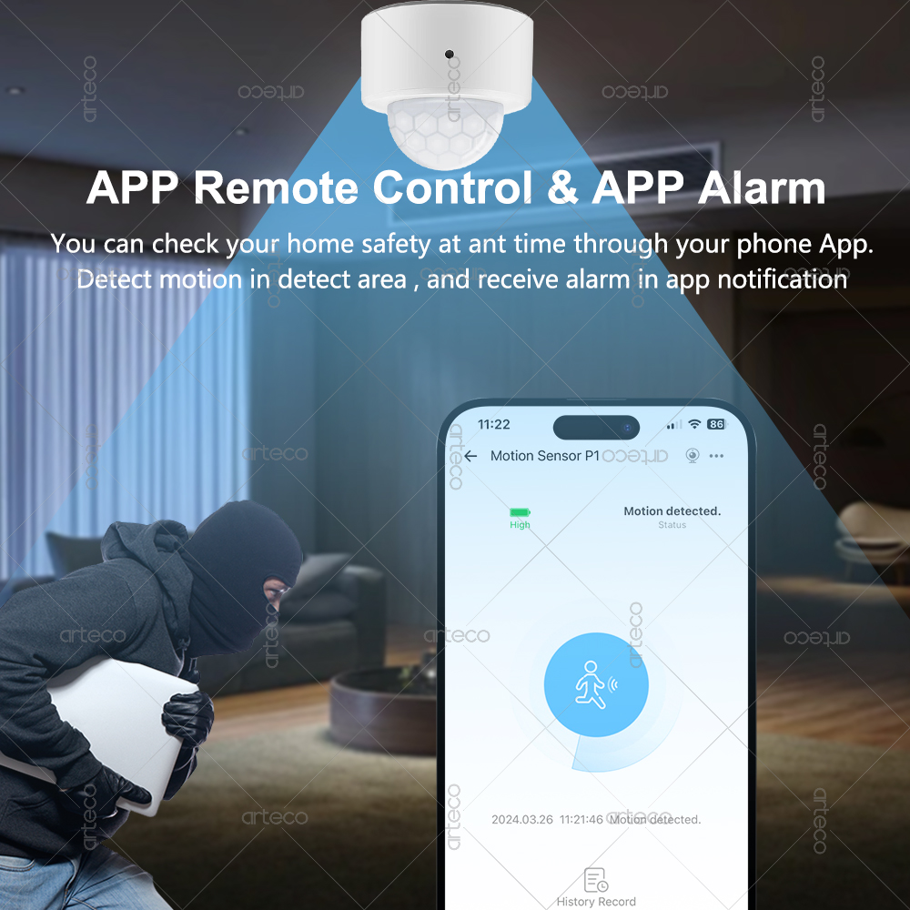 Ewelink Zigbee PIR Motion Sens - Home Security Alexa review and price