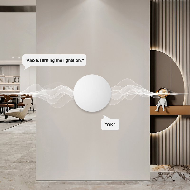 ZigBee Smart Wireless Button S - Home Security Alexa review and price