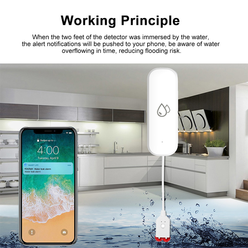 Tuya WiFi Water Leakage Alarm  - Home Security Alexa review and price