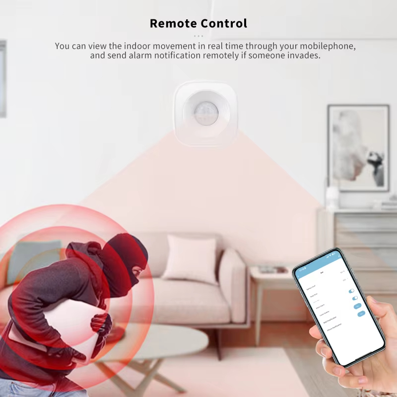 Tuya ZigBee/WiFi PIR Motion Se - Home Security Alexa review and price